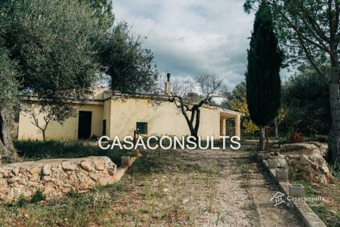 Masia a Cabanes, Castellon, Cabanes - € 100.000 | Ref: 917 - foto 21